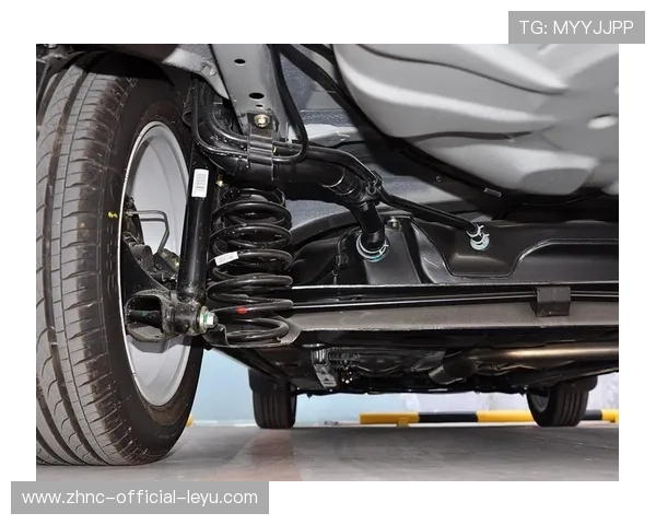 追求极致：赛车悬挂系统的创新探索，赛车后悬挂 是不是独立